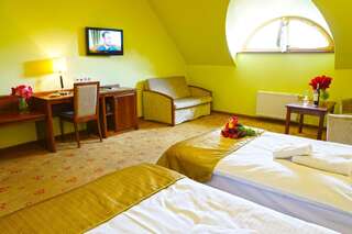 Отель Hotel Rycerski Челядзь Стандартный двухместный номер с 1 кроватью или 2 отдельными кроватями-4