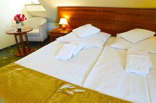 Отель Hotel Rycerski Челядзь Стандартный двухместный номер с 1 кроватью или 2 отдельными кроватями-9